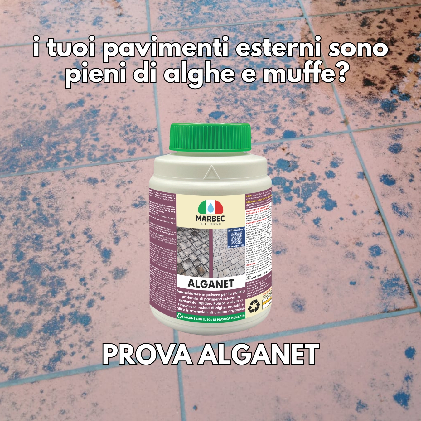 Detersivo pavimenti per esterni pulisce e rimuove alghe licheni muschi ALGANET - Foto 9 di 36