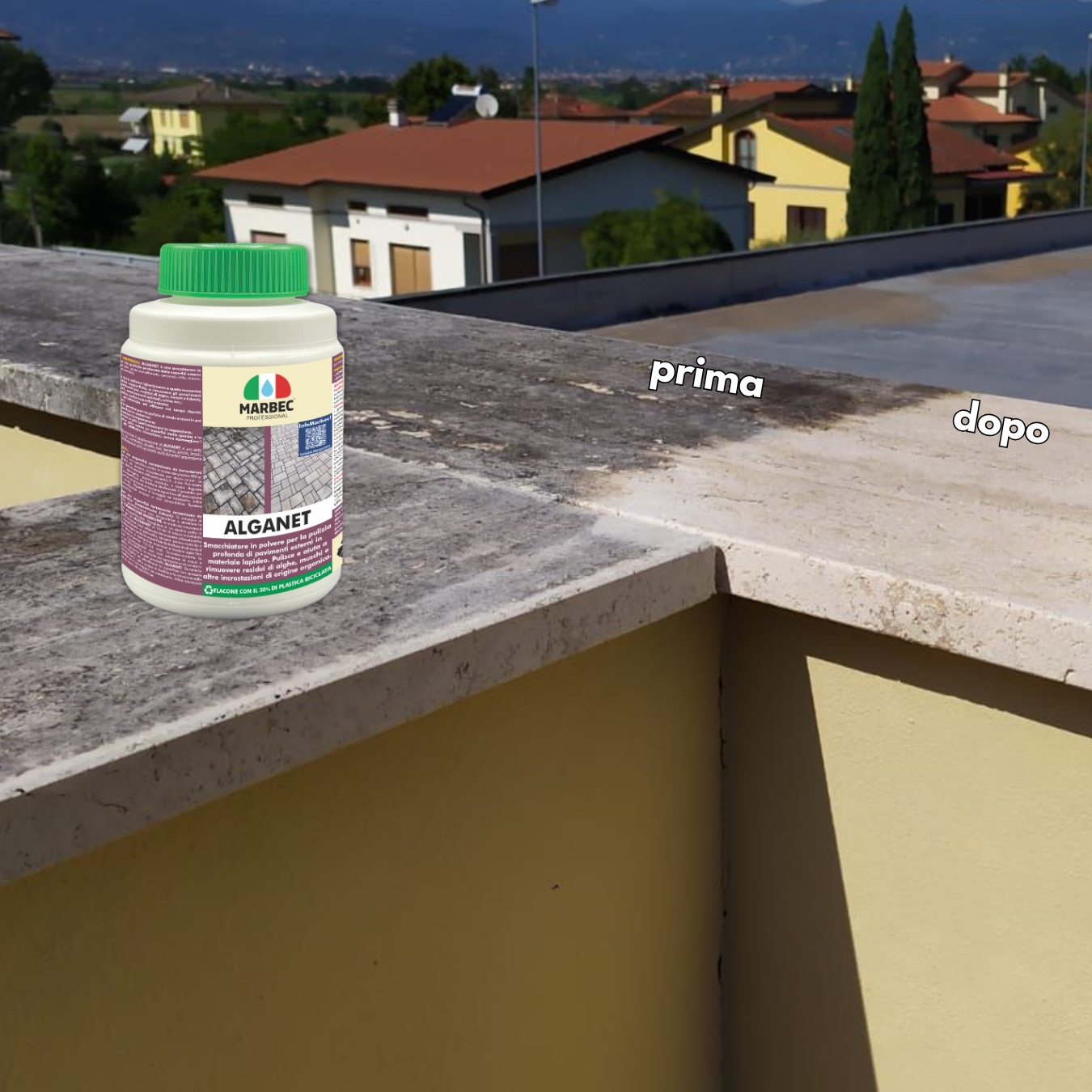 Detersivo pavimenti per esterni pulisce e rimuove alghe licheni muschi ALGANET - Foto 12 di 36